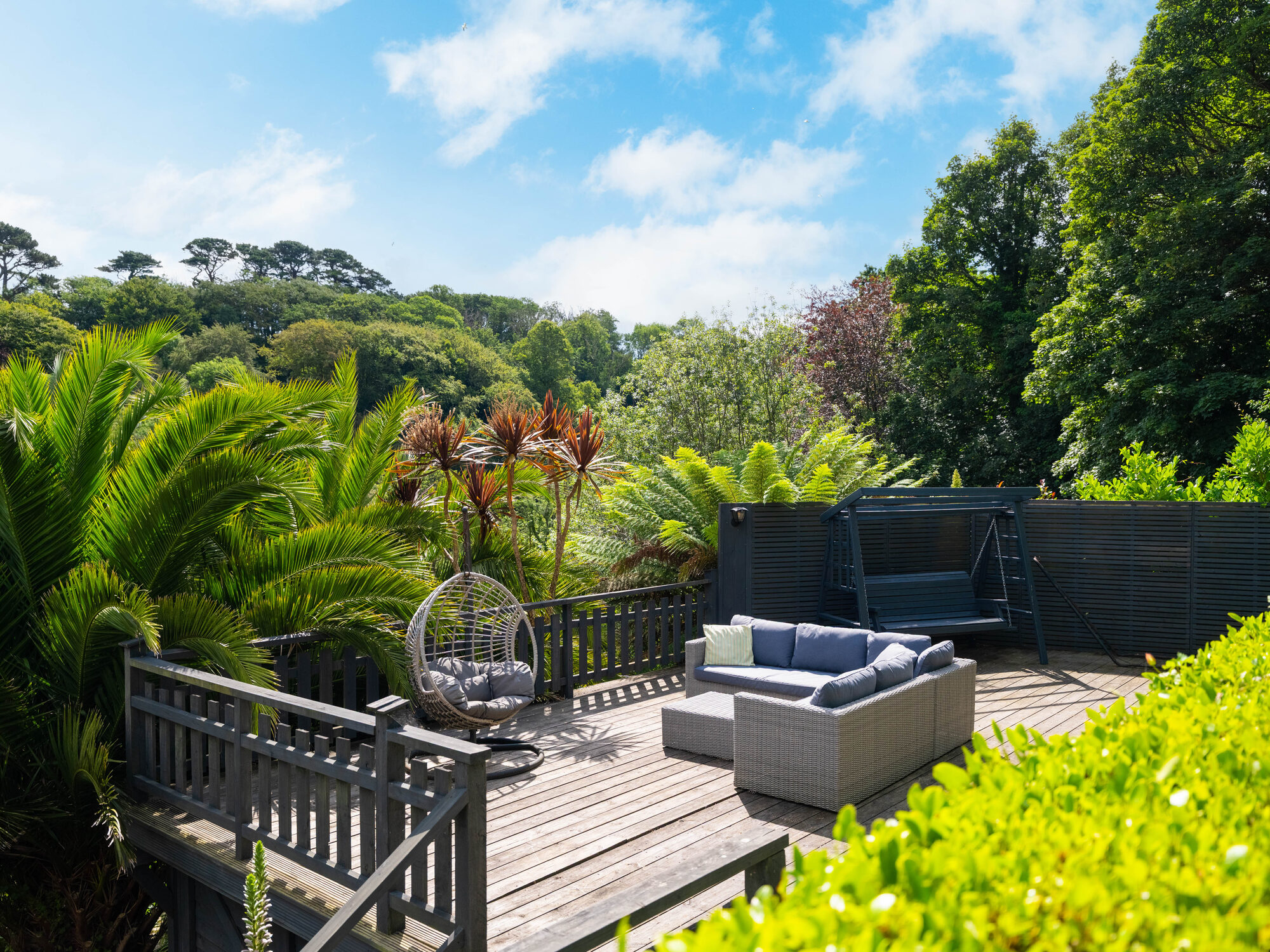 Sub-tropical planting from the decking